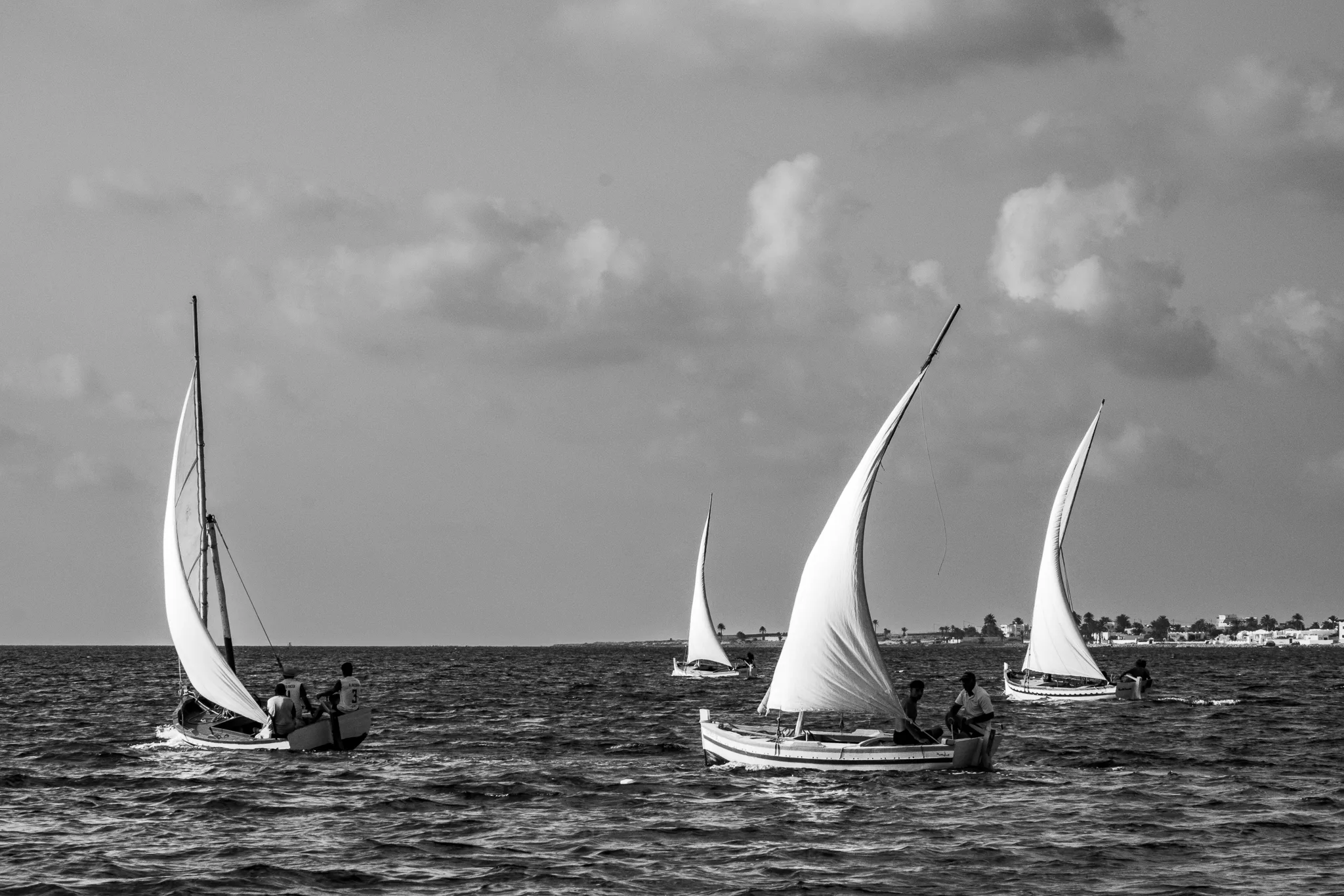 Regate3 24 fieres voiles latines superbes